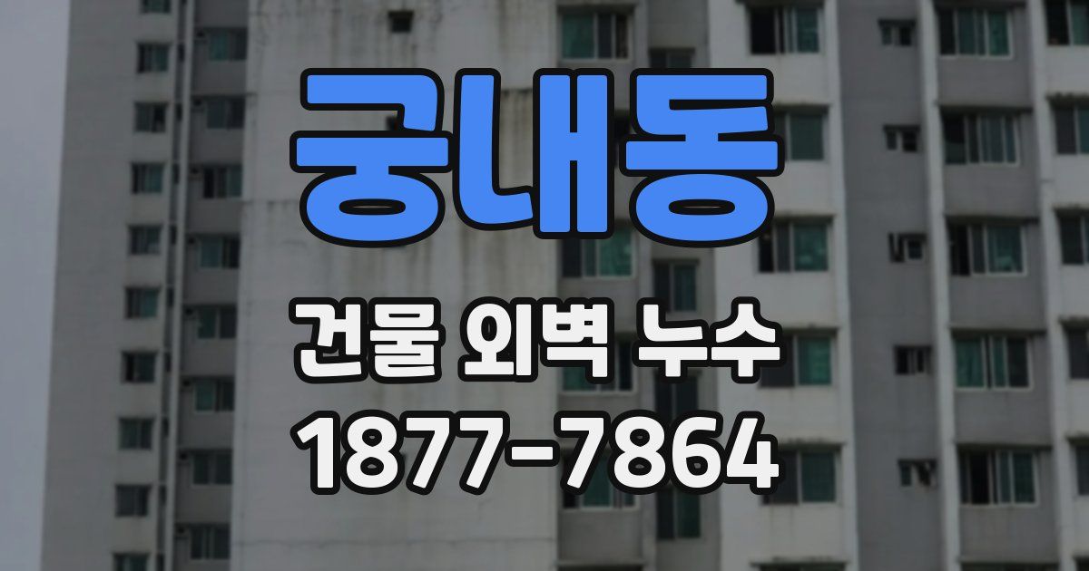 궁내동 건물 외벽 누수