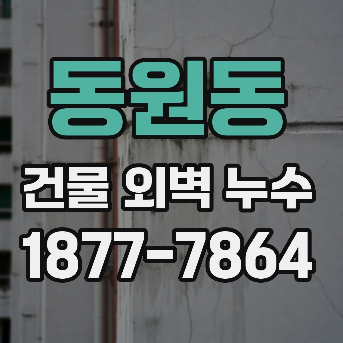 동원동 건물 외벽 누수