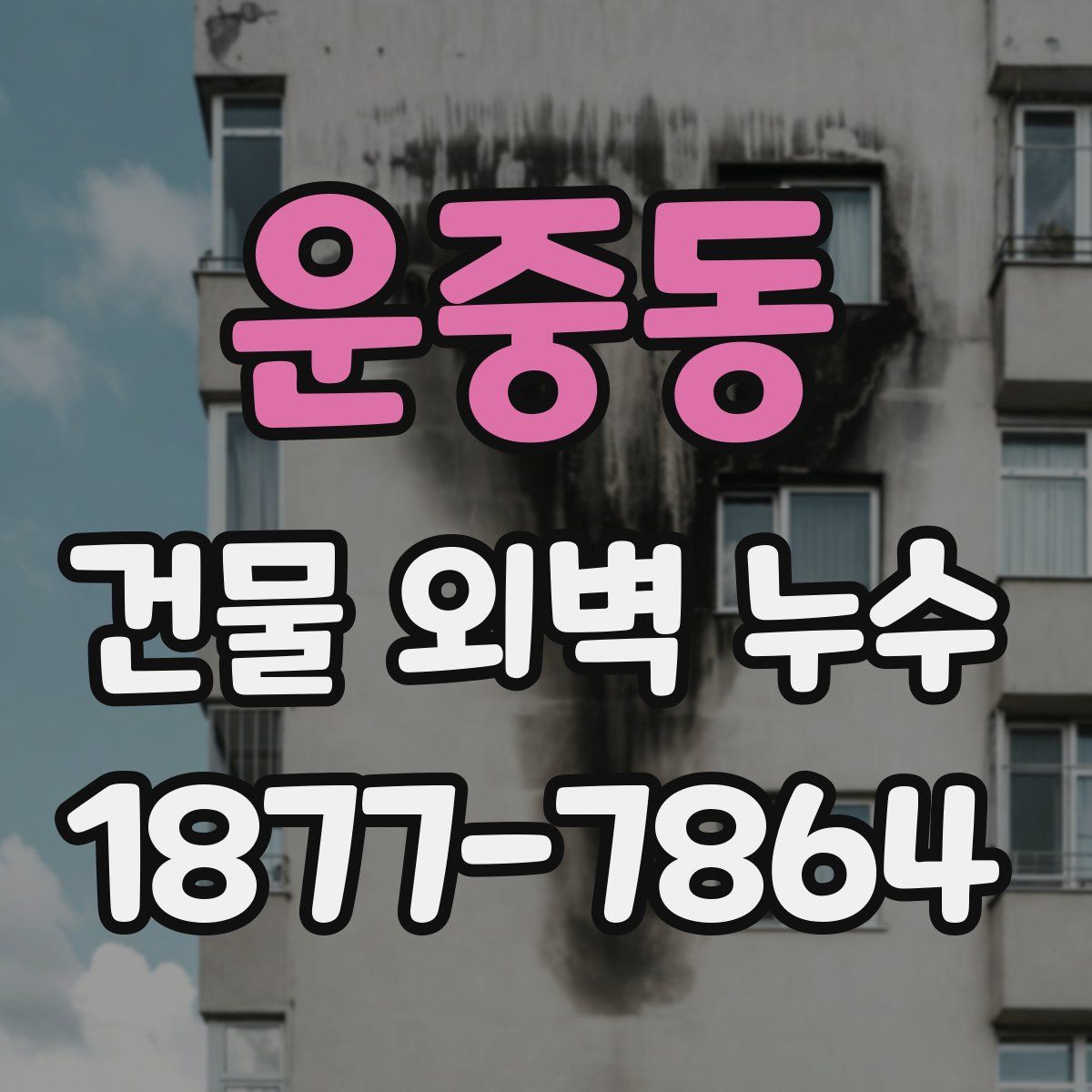 운중동 건물 외벽 누수