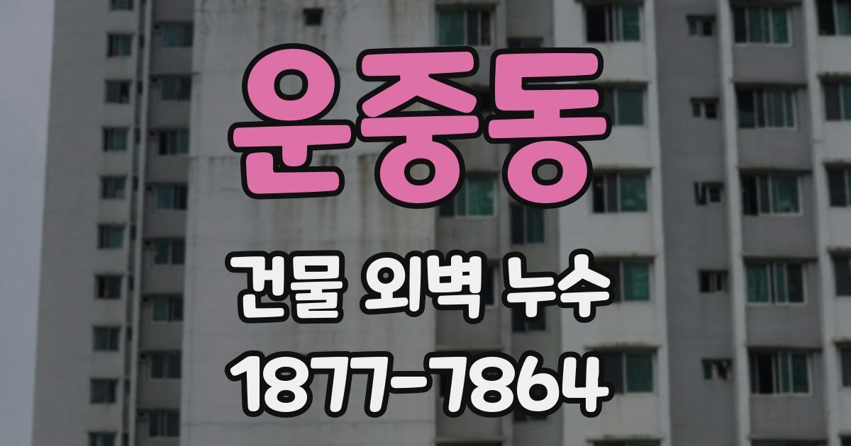 운중동 건물 외벽 누수
