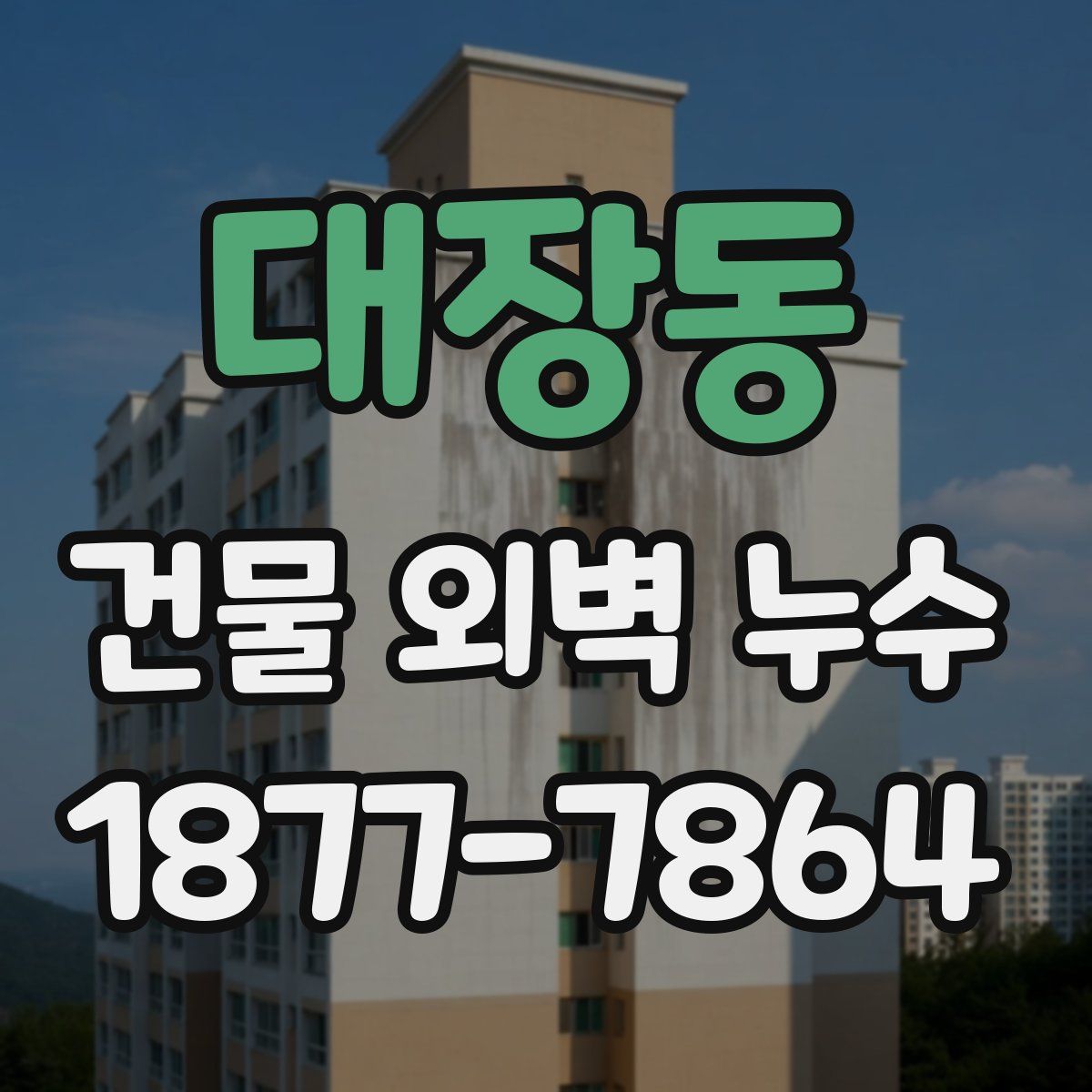 대장동 건물 외벽 누수