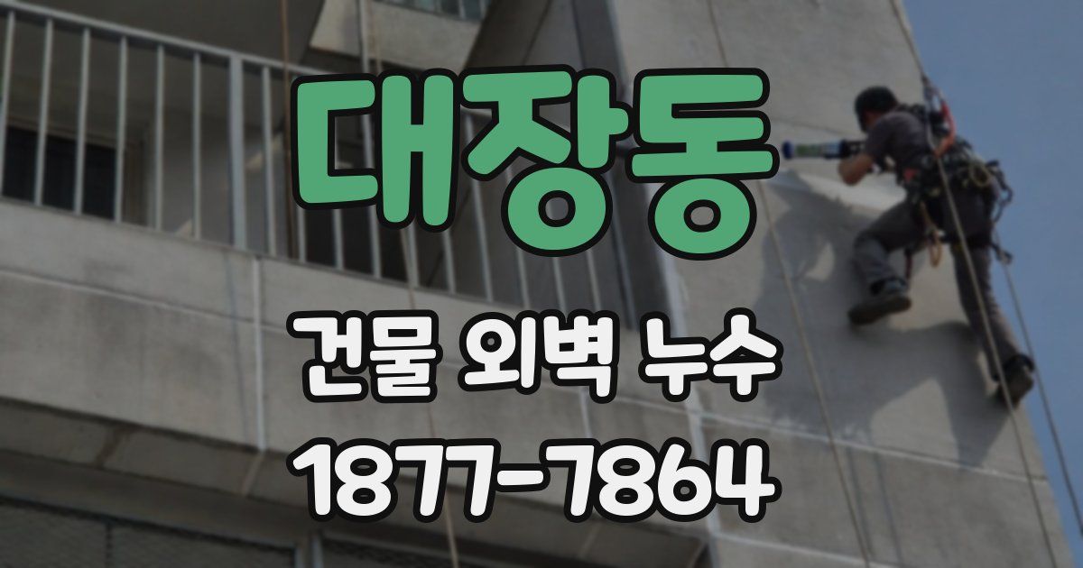 대장동 건물 외벽 누수