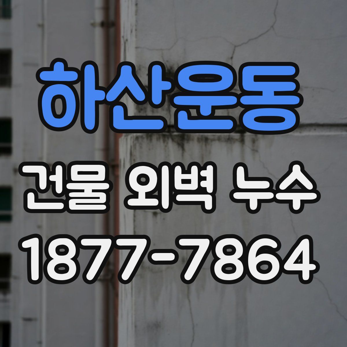 하산운동 건물 외벽 누수