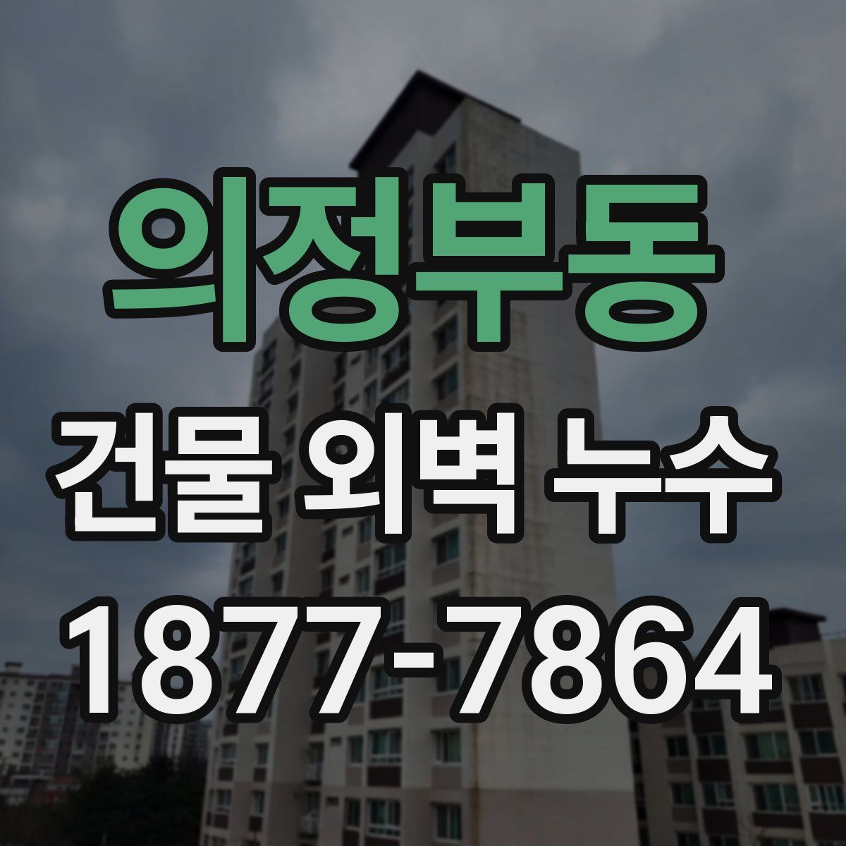의정부동 건물 외벽 누수