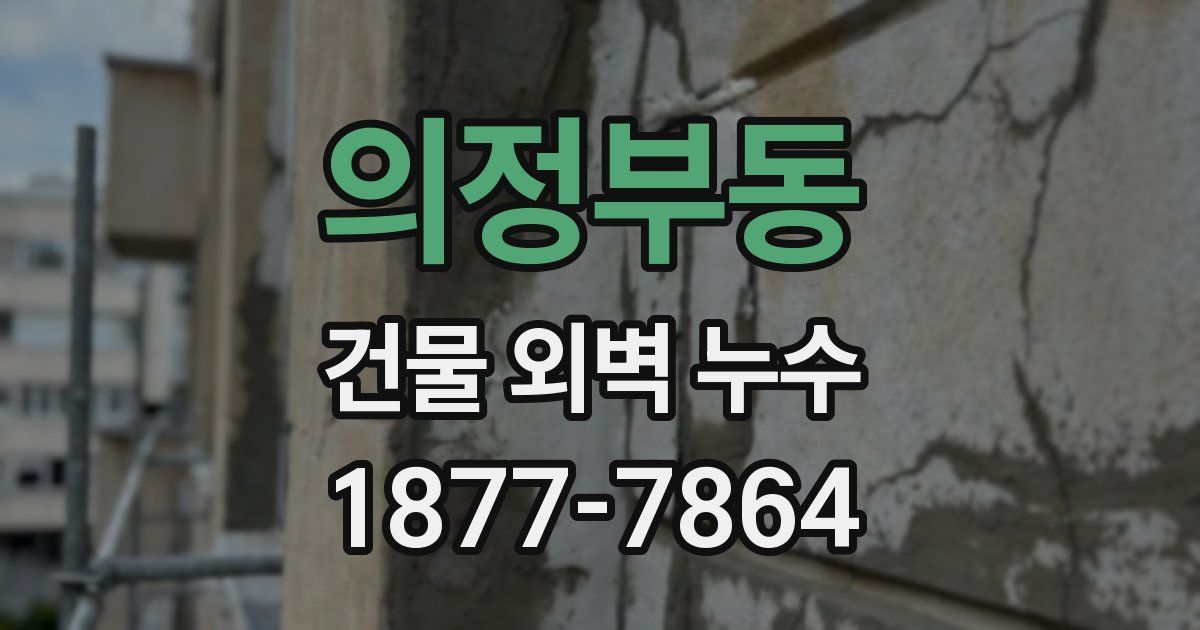 의정부동 건물 외벽 누수