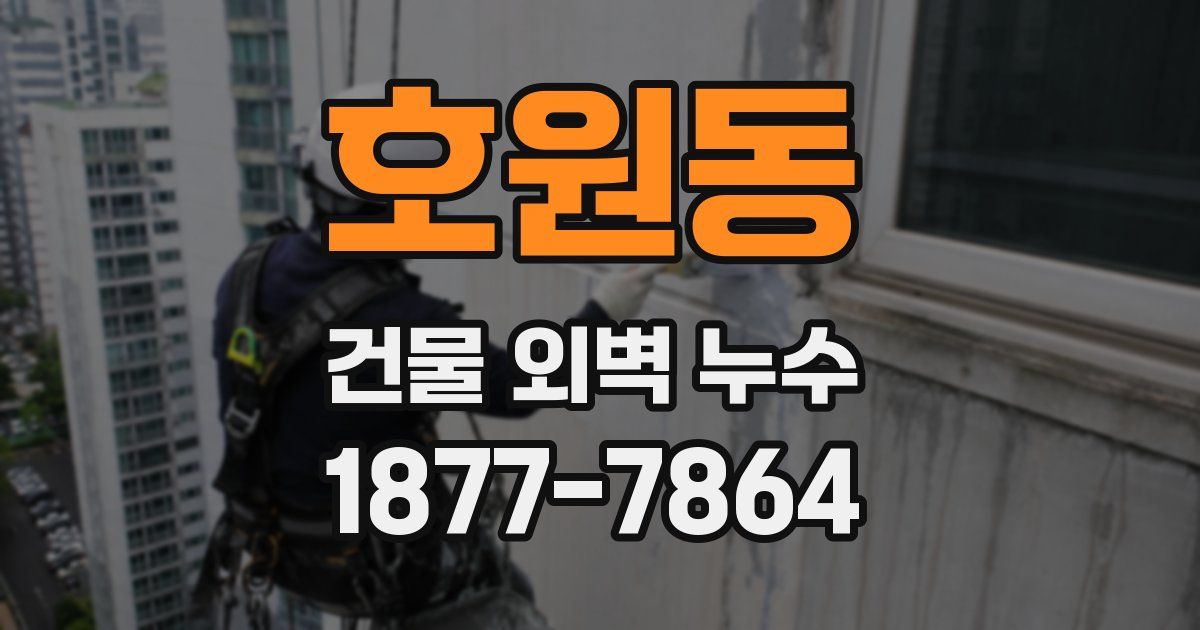 호원동 건물 외벽 누수