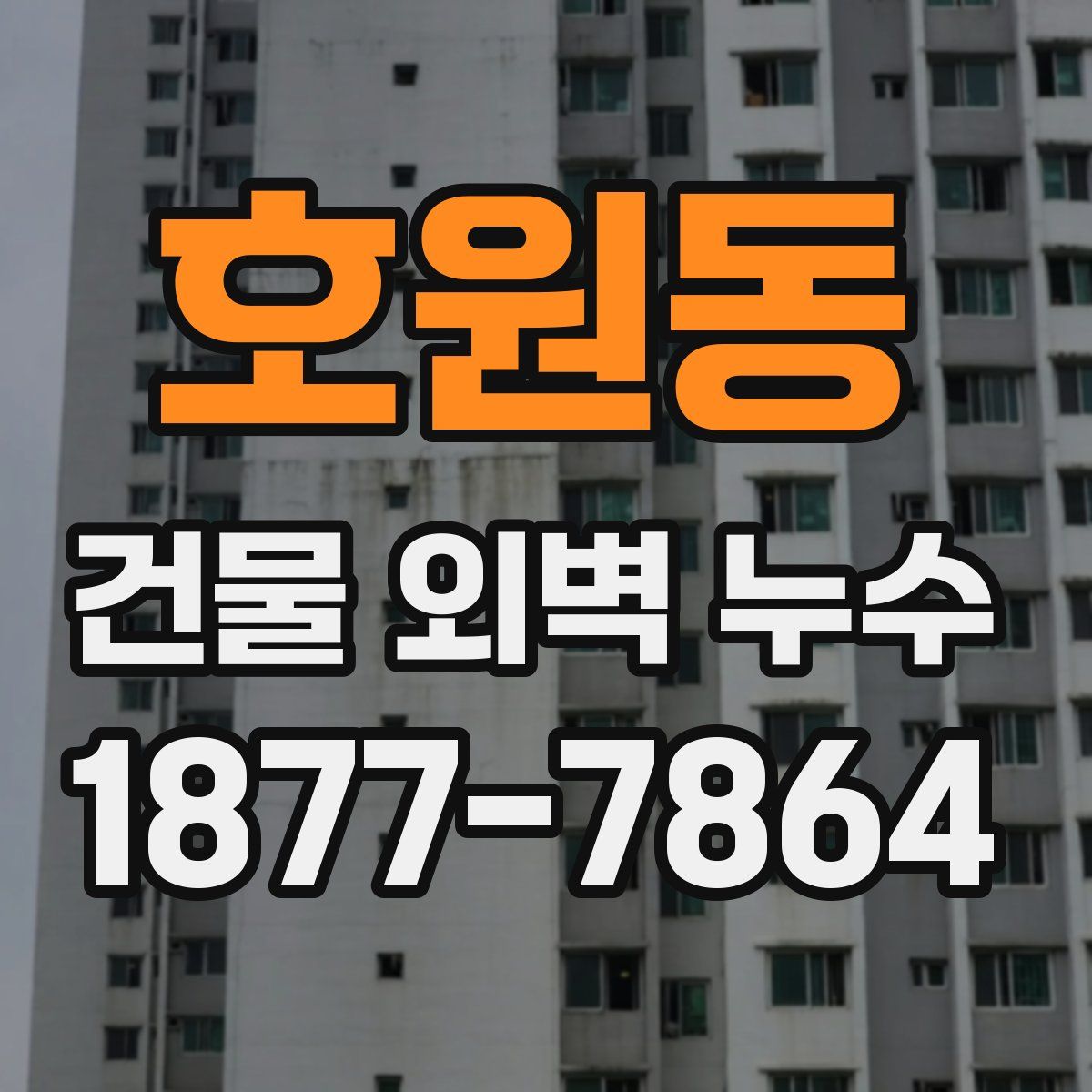 호원동 건물 외벽 누수
