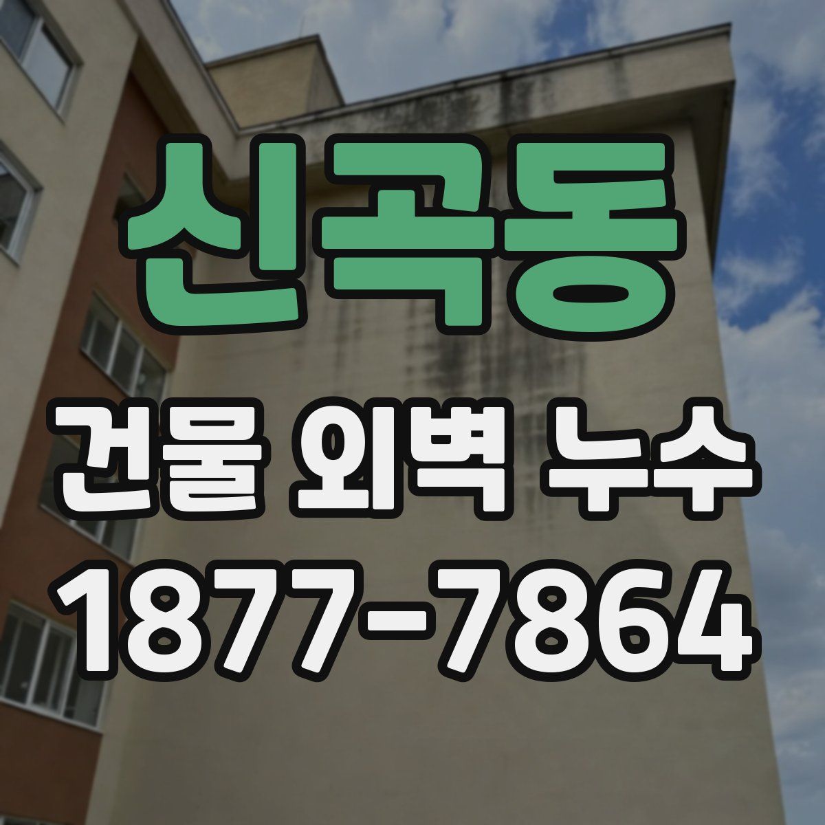 신곡동 건물 외벽 누수