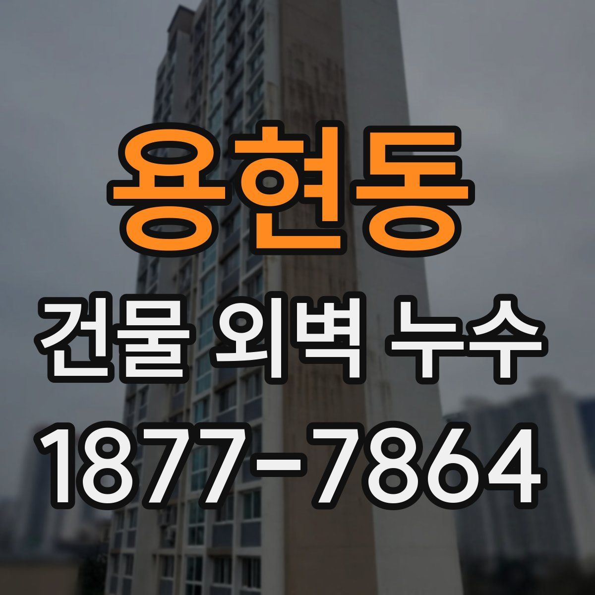 용현동 건물 외벽 누수