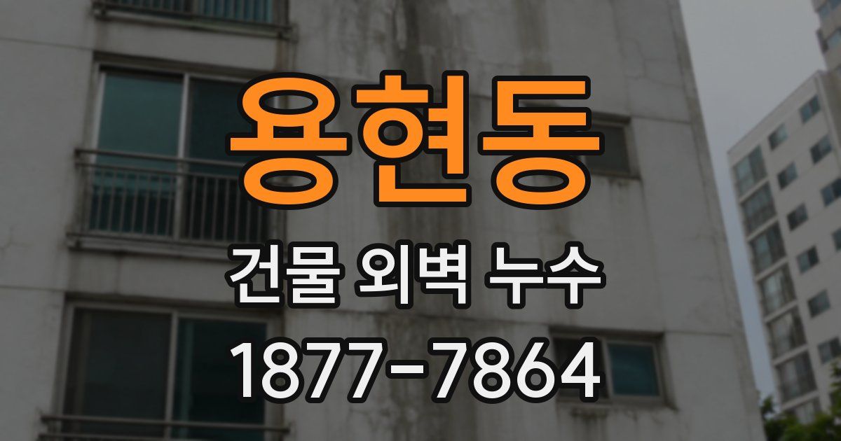 용현동 건물 외벽 누수