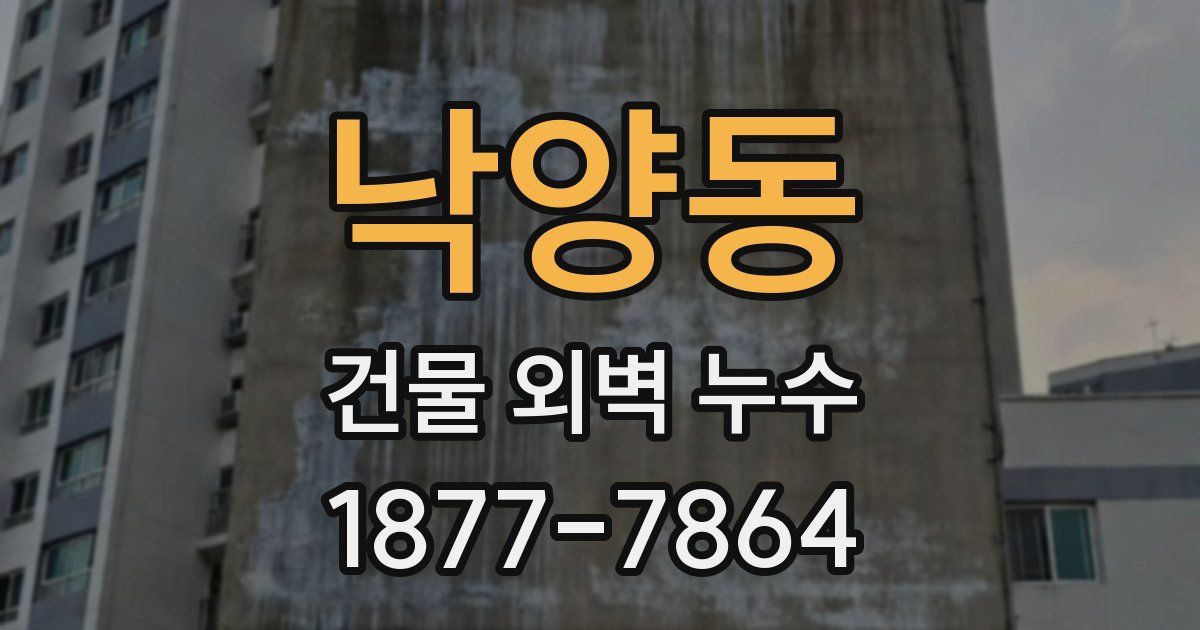 낙양동 건물 외벽 누수