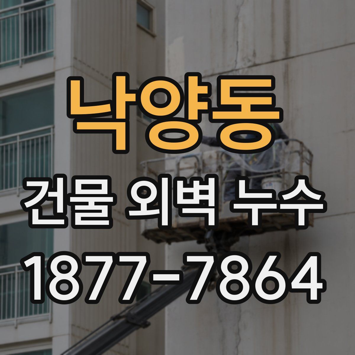 낙양동 건물 외벽 누수