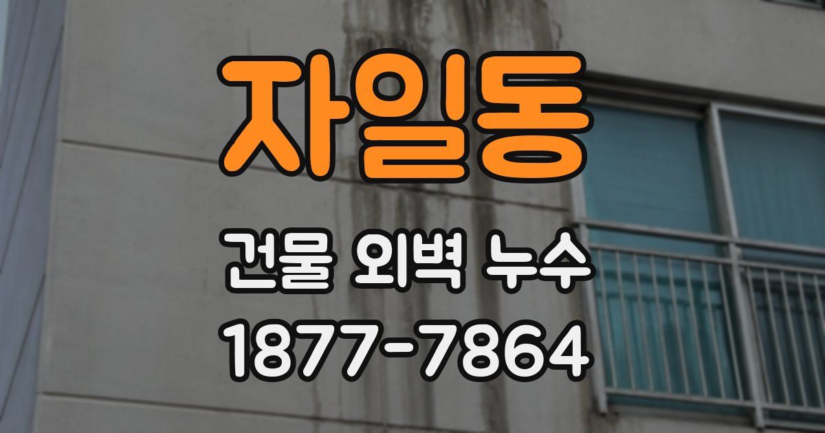 자일동 건물 외벽 누수