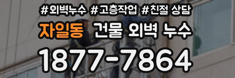 자일동 건물 외벽 누수