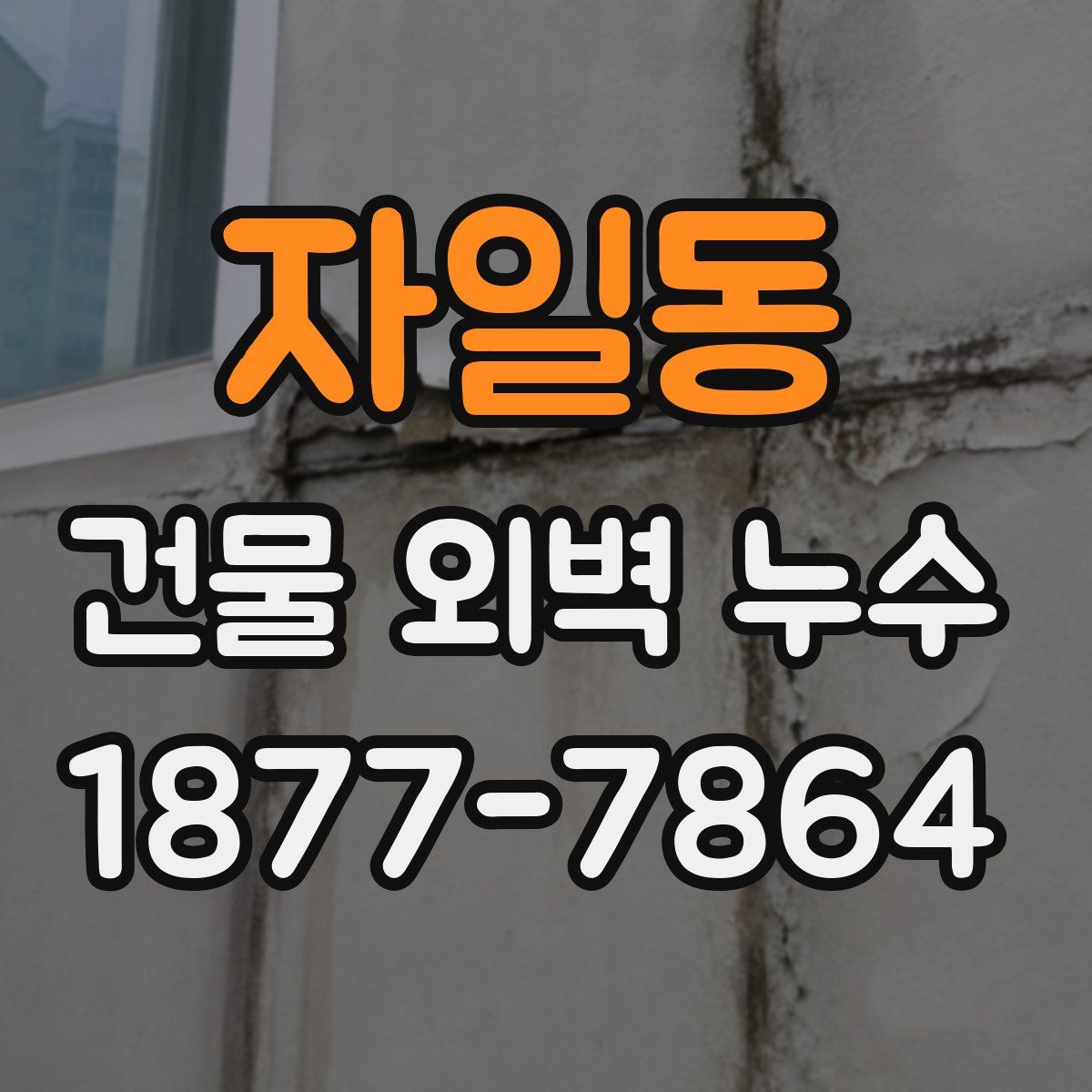 자일동 건물 외벽 누수