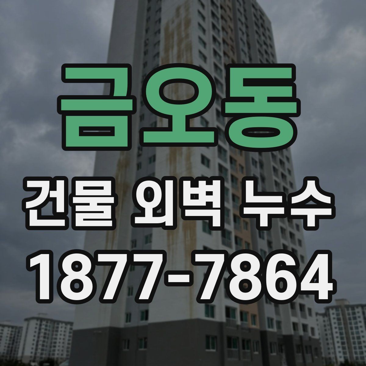 금오동 건물 외벽 누수 예방을 위한 관리 포인트
