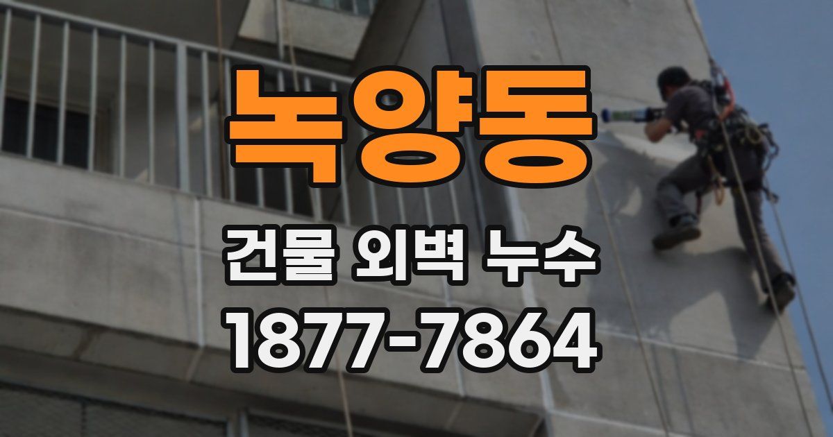녹양동 건물 외벽 누수