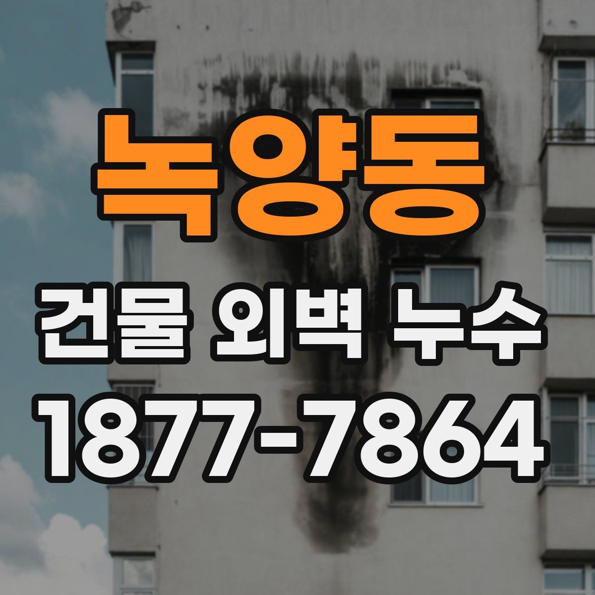 녹양동 건물 외벽 누수