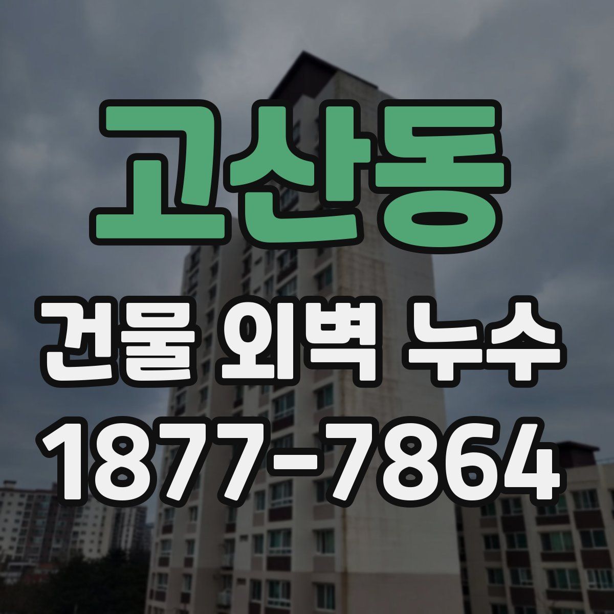 고산동 건물 외벽 누수