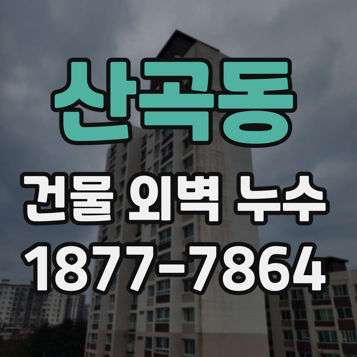 산곡동 건물 외벽 누수