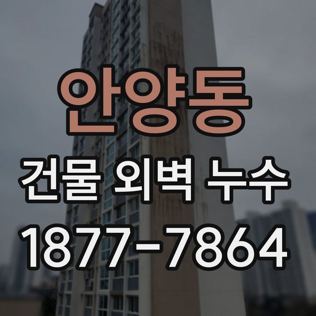 안양동 건물 외벽 누수 원인 파악을 위한 순서