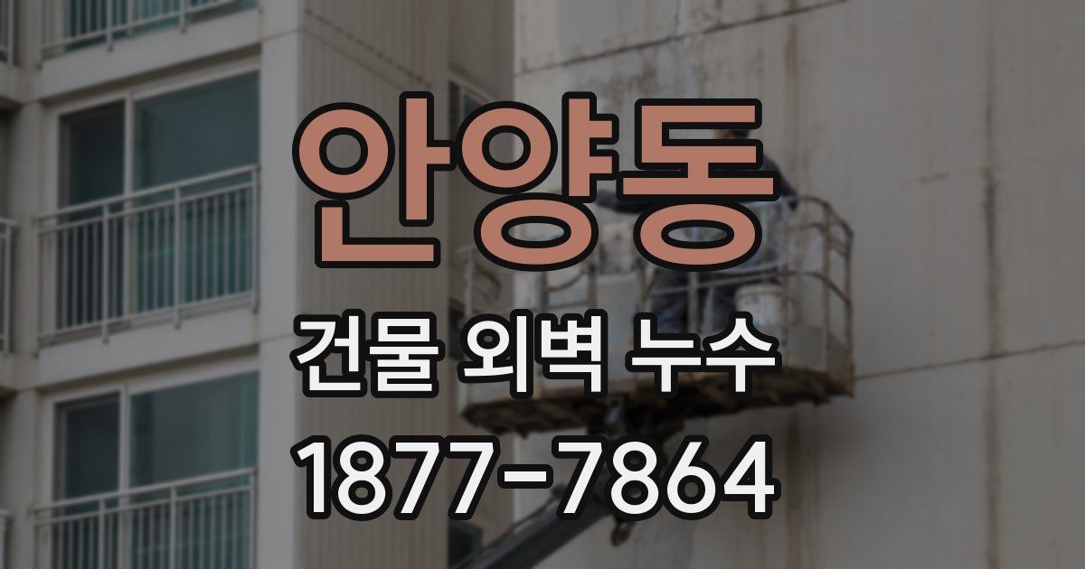 안양동 건물 외벽 누수