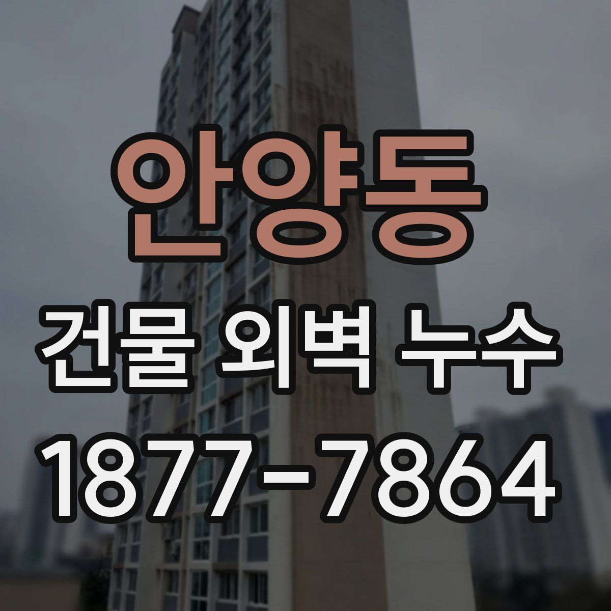 안양동 건물 외벽 누수
