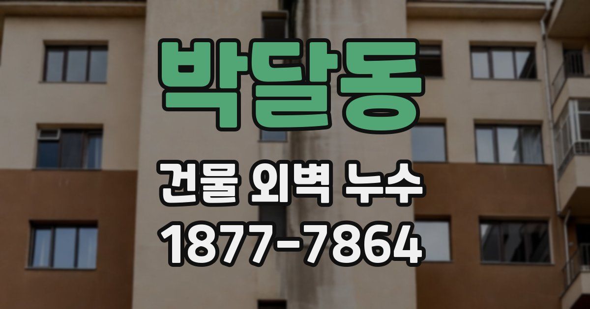 박달동 건물 외벽 누수