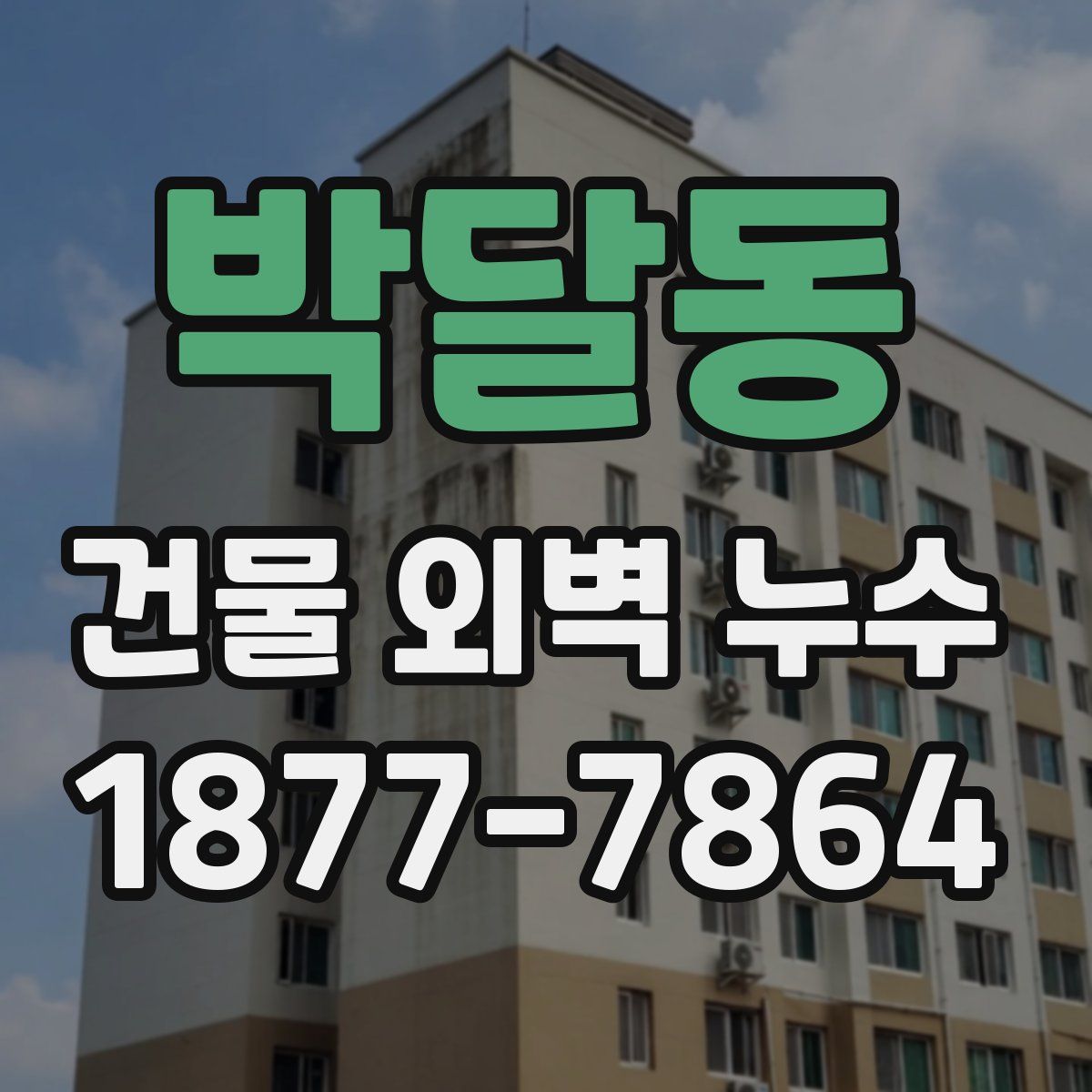박달동 건물 외벽 누수