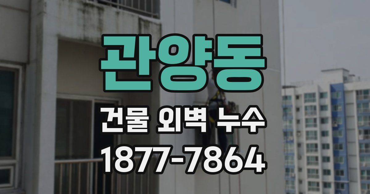 관양동 건물 외벽 누수