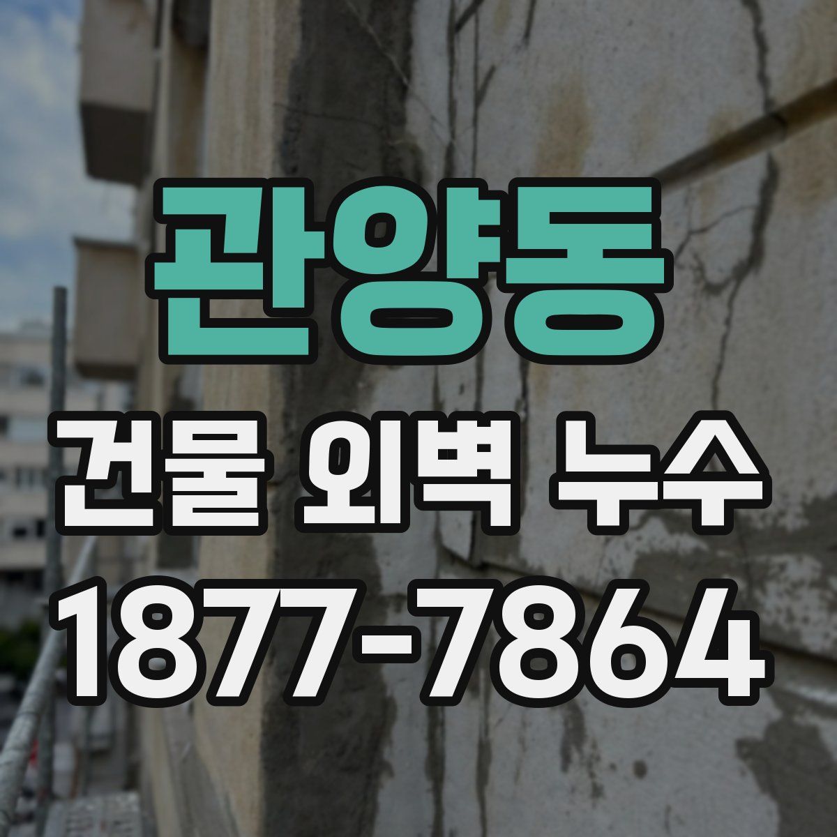 관양동 건물 외벽 누수