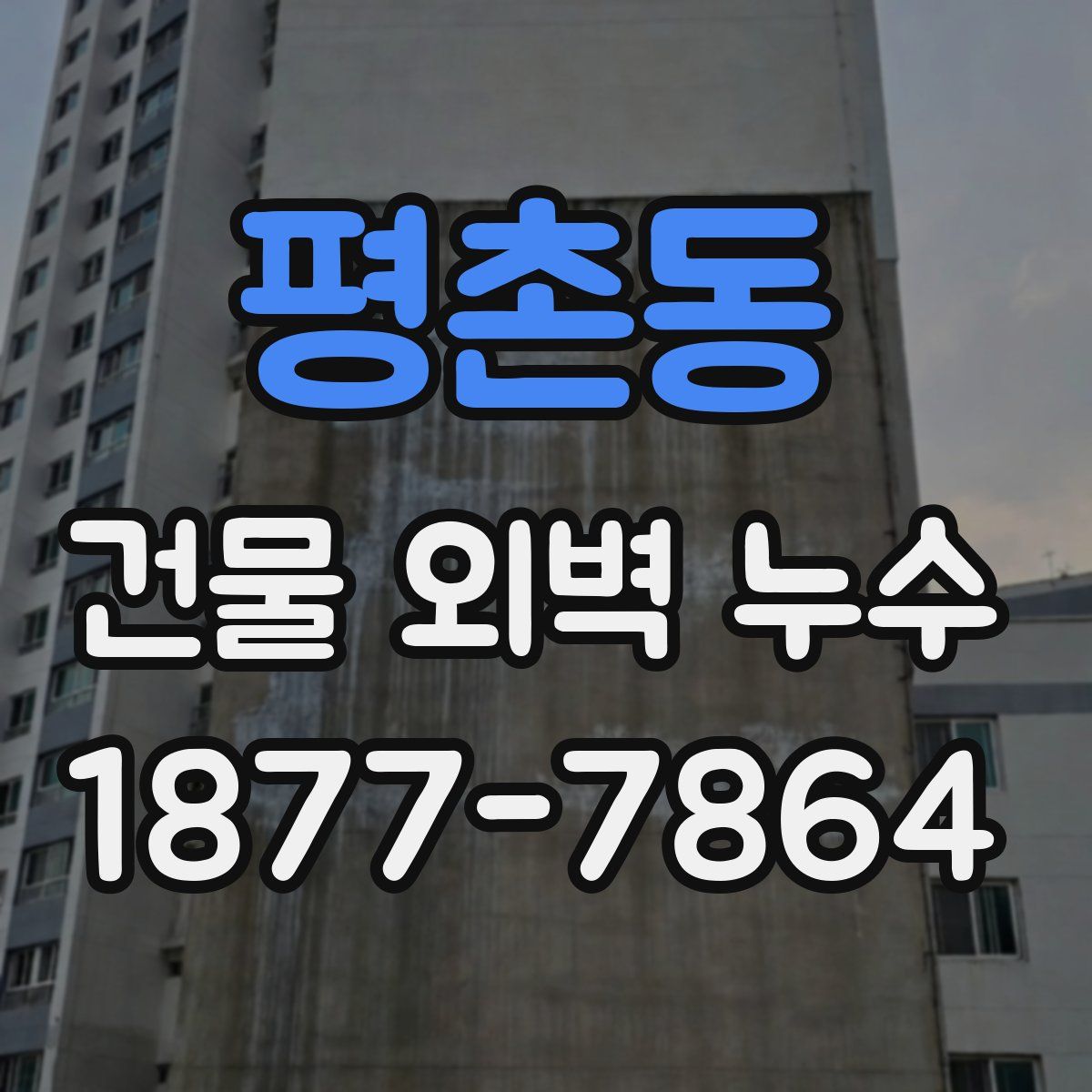 평촌동 건물 외벽 누수