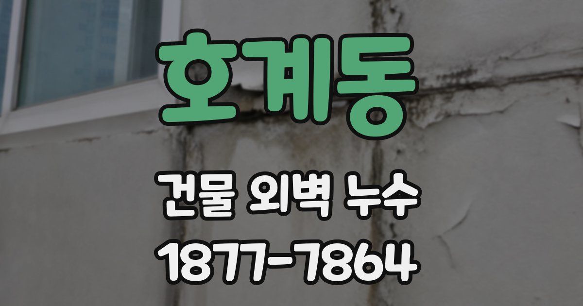 호계동 건물 외벽 누수
