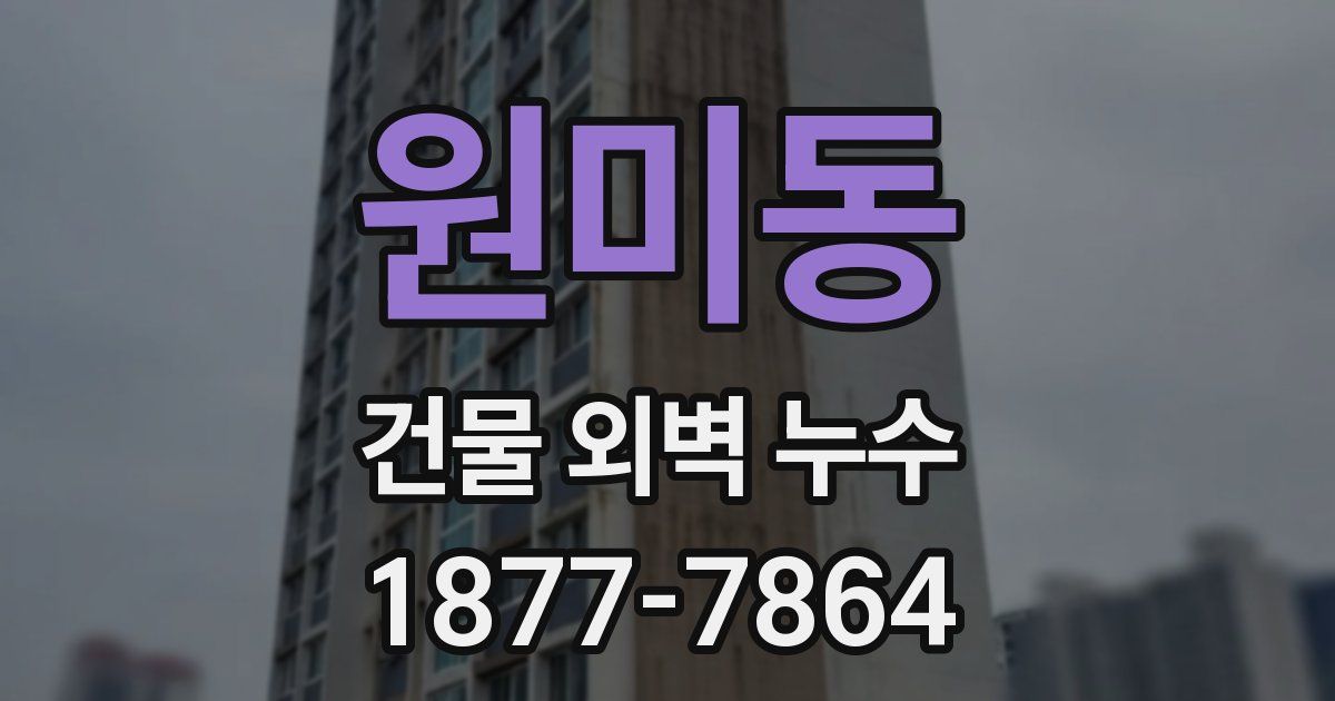 원미동 건물 외벽 누수