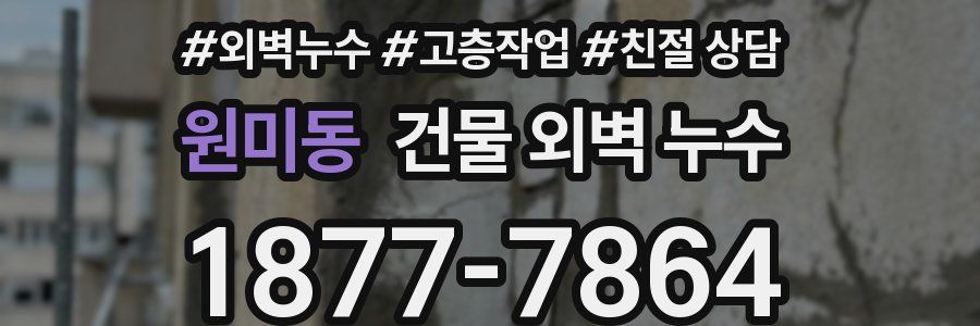 원미동 건물 외벽 누수