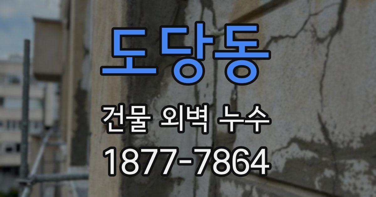 도당동 건물 외벽 누수