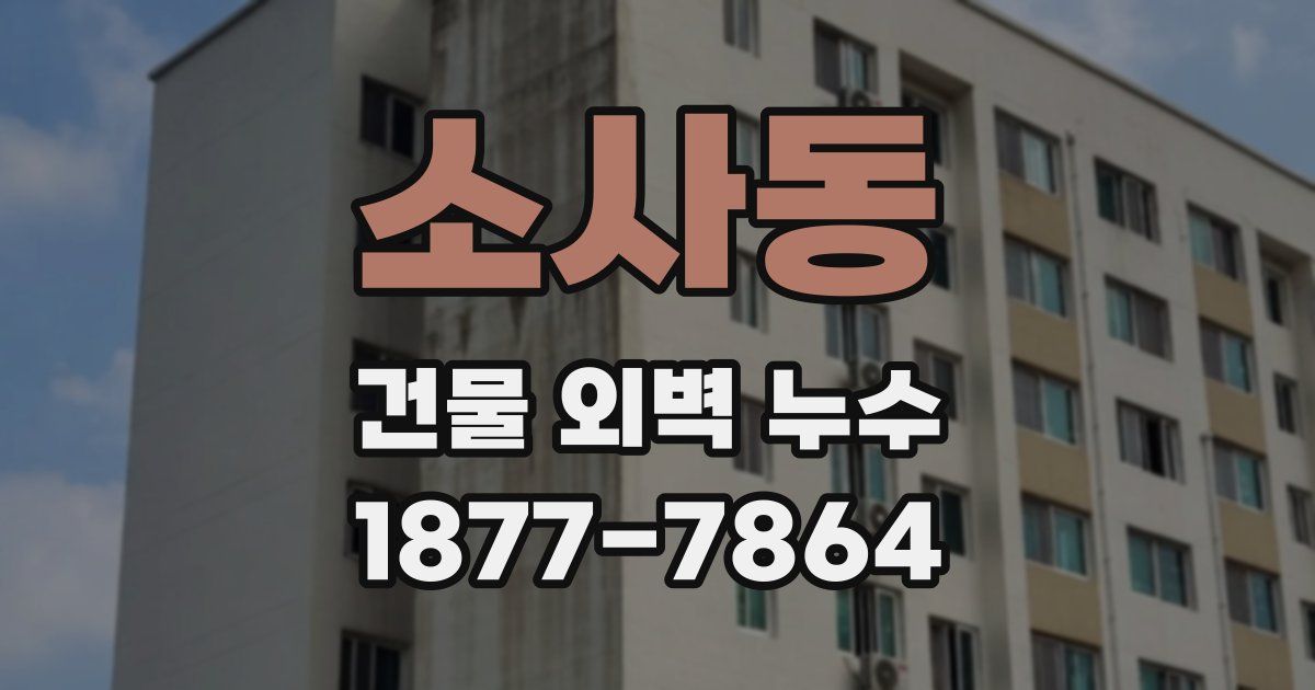 소사동 건물 외벽 누수