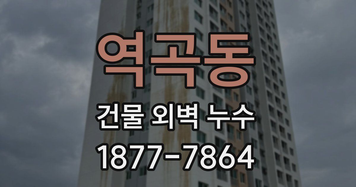 역곡동 건물 외벽 누수