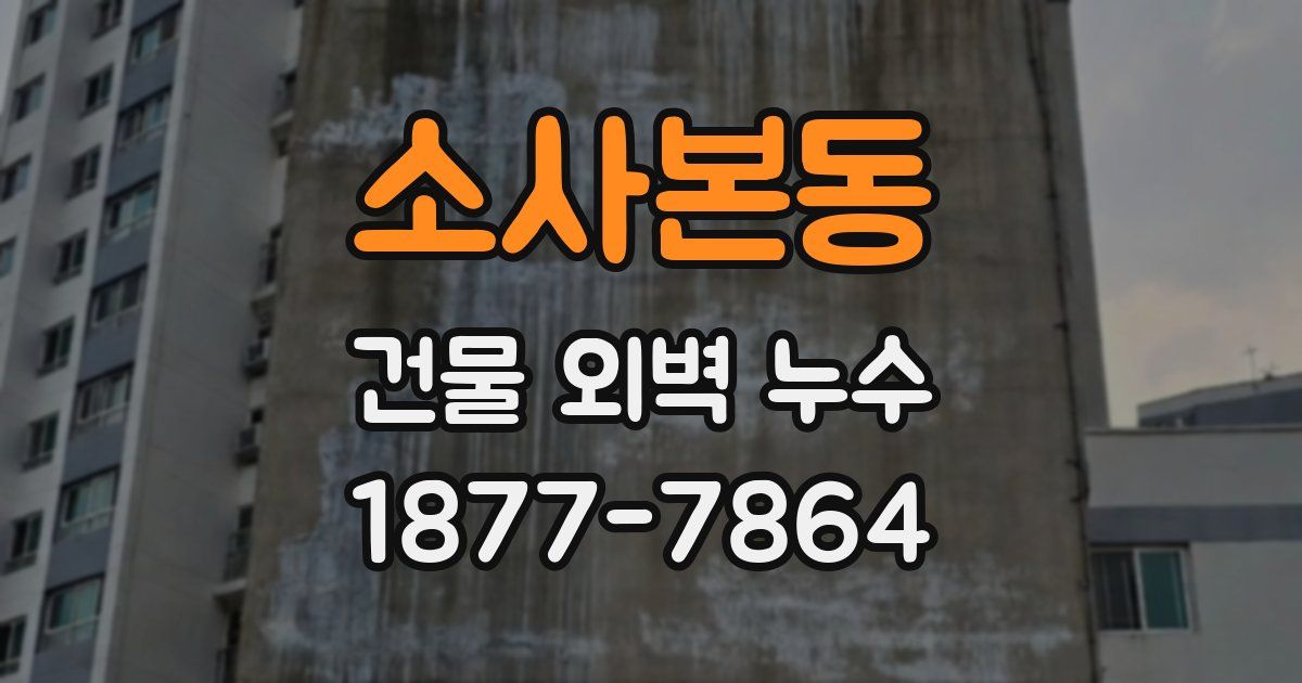 소사본동 건물 외벽 누수
