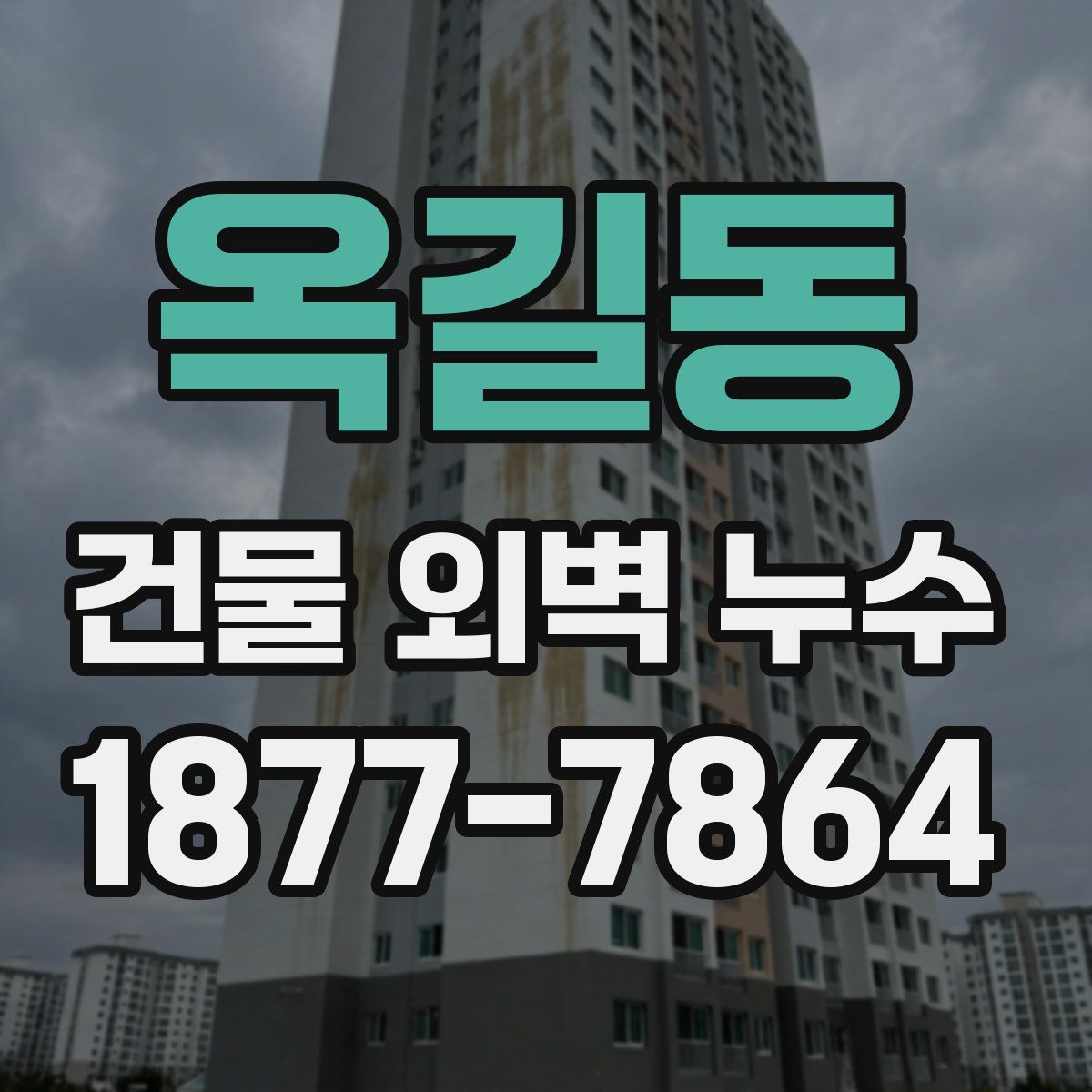 옥길동 건물 외벽 누수