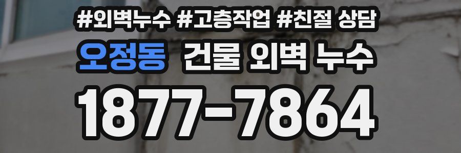 오정동 건물 외벽 누수