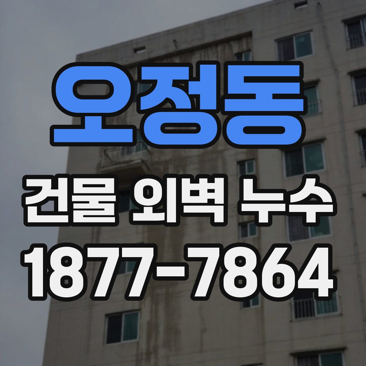 오정동 건물 외벽 누수
