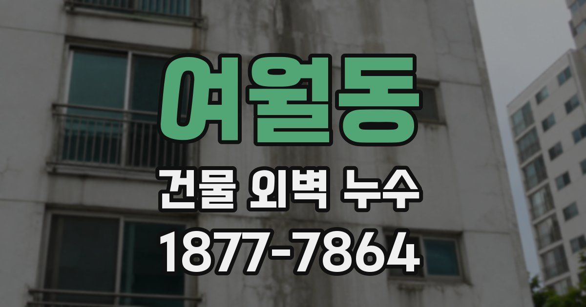 여월동 건물 외벽 누수