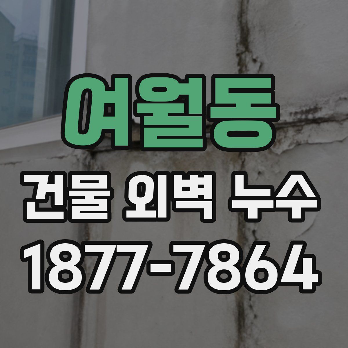 여월동 건물 외벽 누수