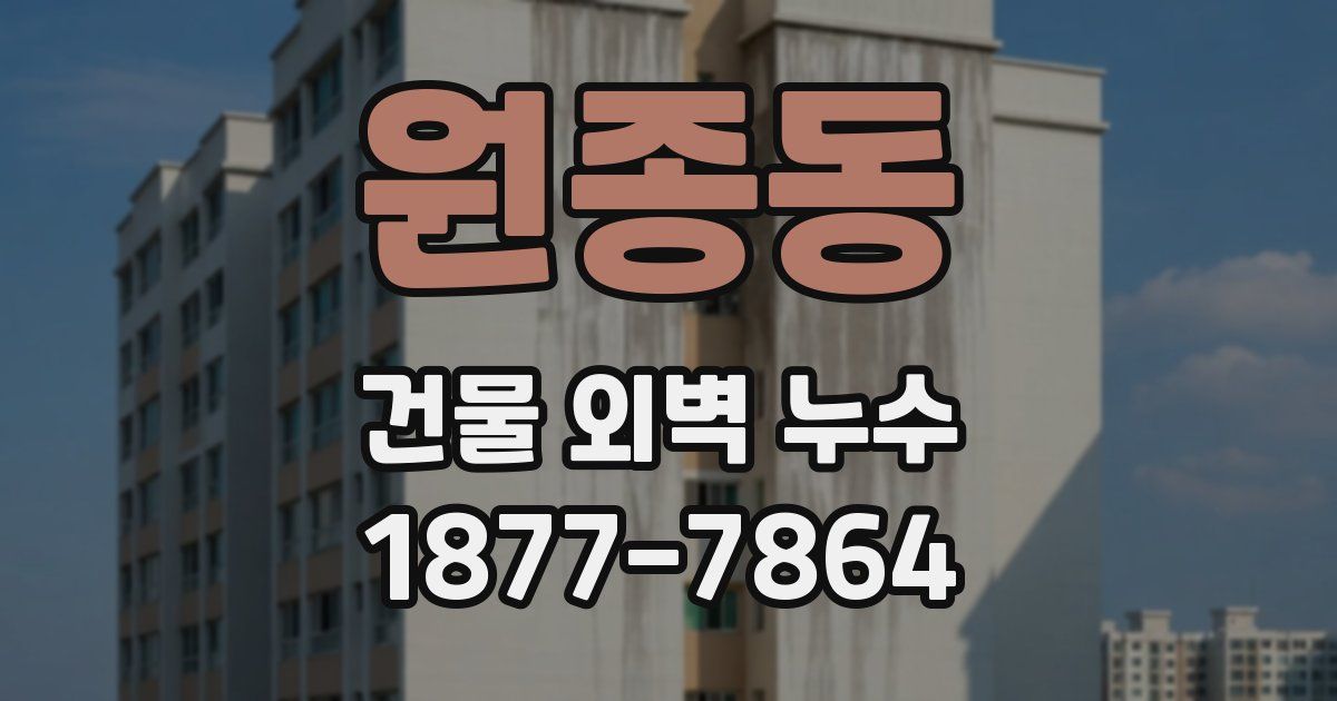 원종동 건물 외벽 누수