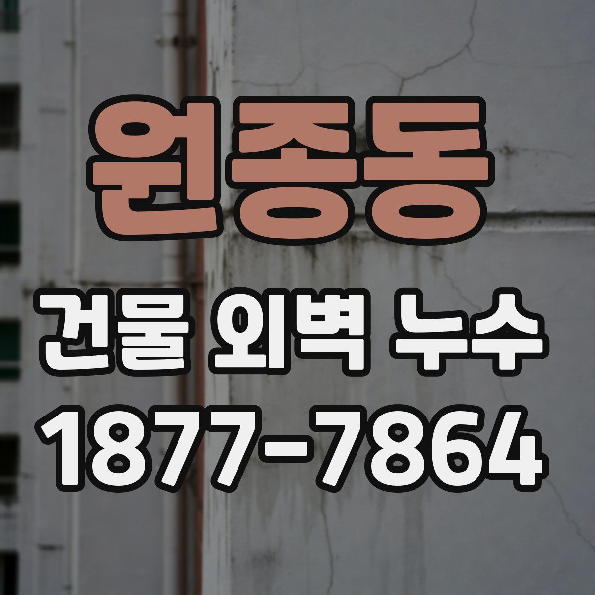 원종동 건물 외벽 누수
