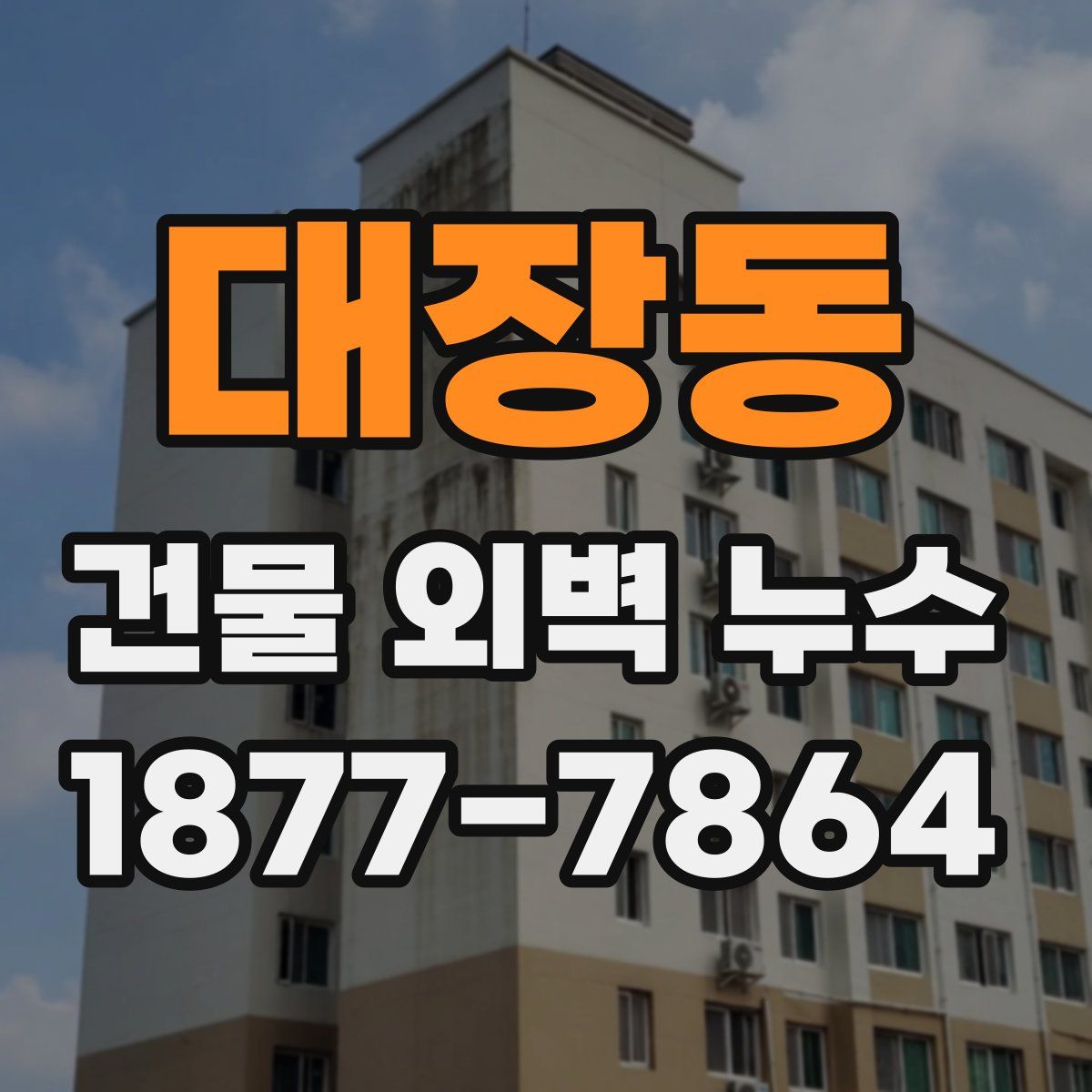 대장동 건물 외벽 누수