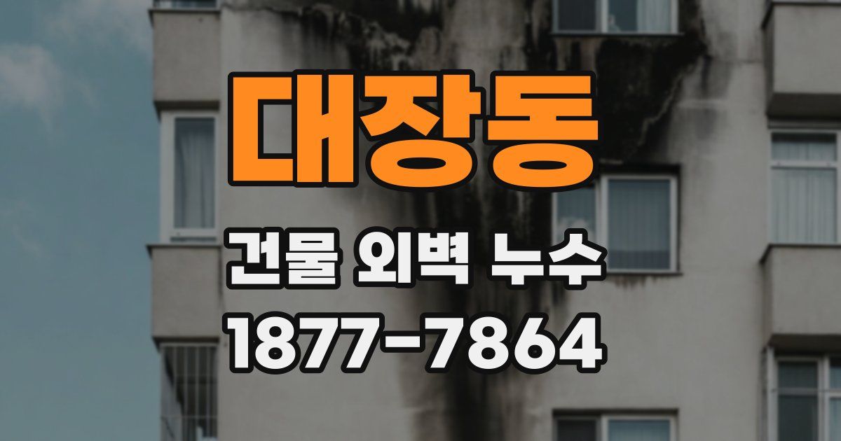 대장동 건물 외벽 누수