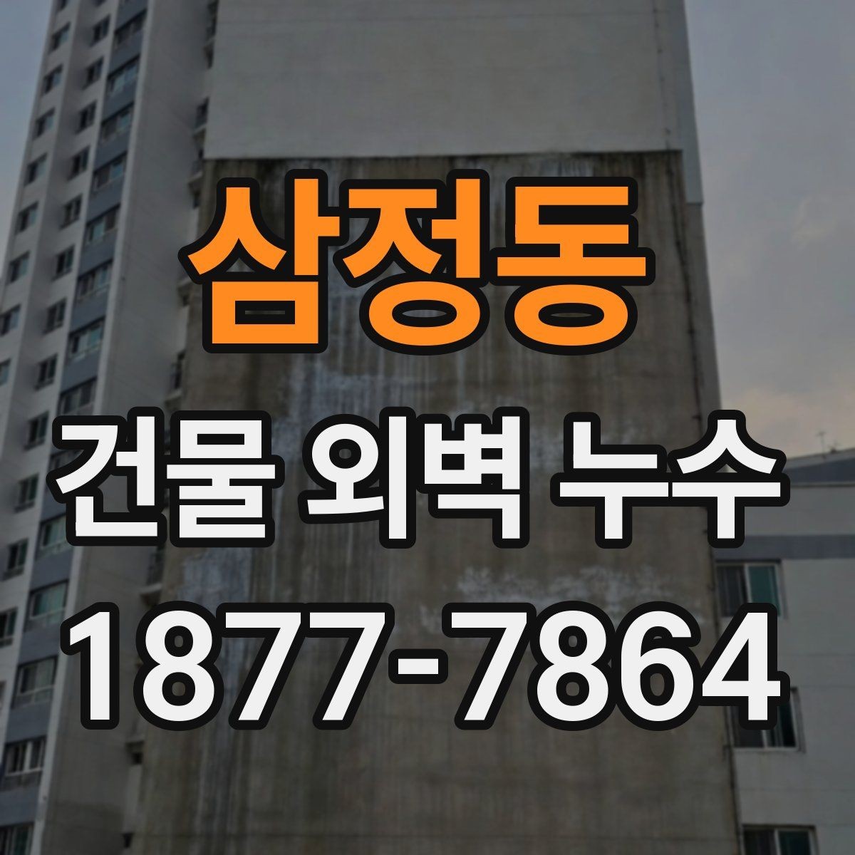삼정동 건물 외벽 누수 예방을 위한 정기 점검 항목