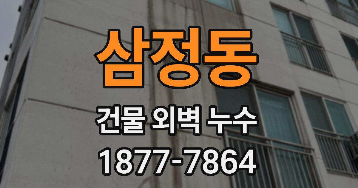 삼정동 건물 외벽 누수